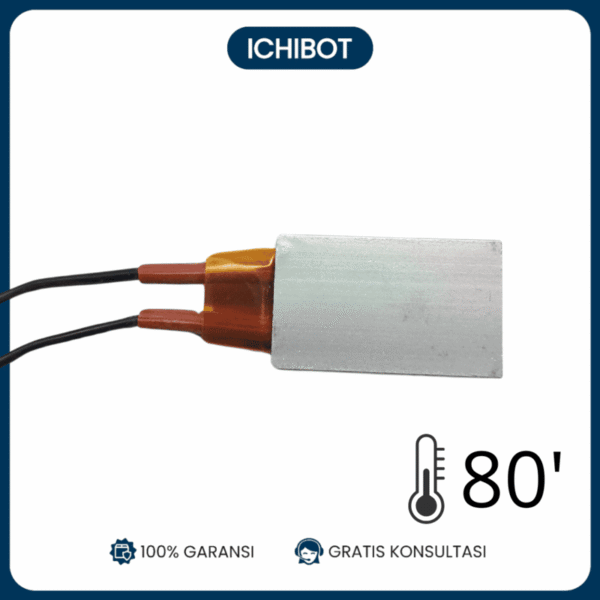 Heater Plate 220V AC 80 Derajat Elemen Pemanas Plat Panas Heating Untuk Teko Elektronik - 80 Derajat