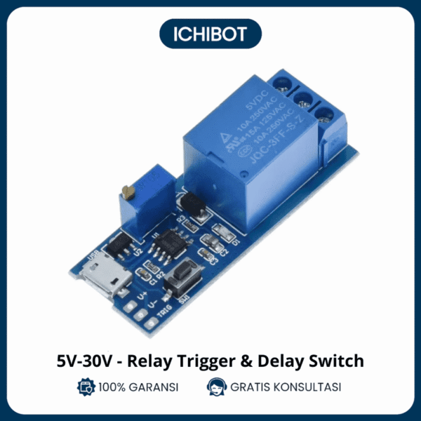 Relay Delay Timer Switch 5-30V 10A 250VAC Trigger Module Pengatur Waktu