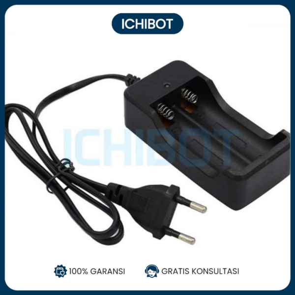 Dual Charger 2x18650 Li-ion EU Plug 2 x 18650 Slot Li Ion Vape