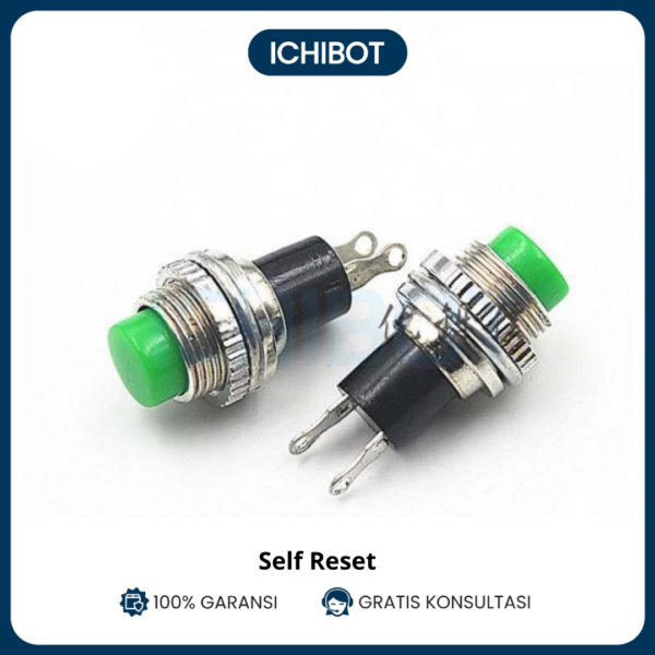Push Button Self Reset 10mm DS-314 Hijau