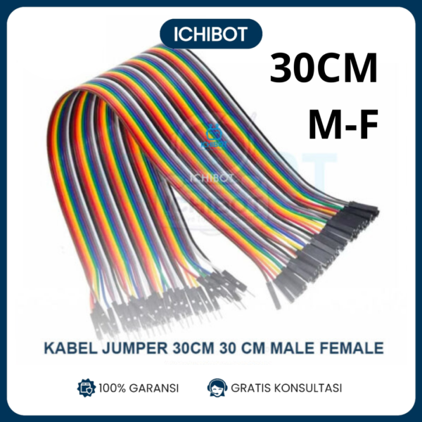 (10pcs) Kabel Jumper 30cm Male to Female 1 Pcs Dupont Wire Arduino