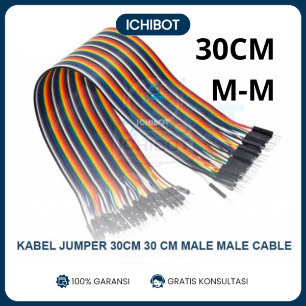 (10pcs) Kabel Jumper 30cm 30 cm Male Male Cable Arduino Harga per Pcs Biji