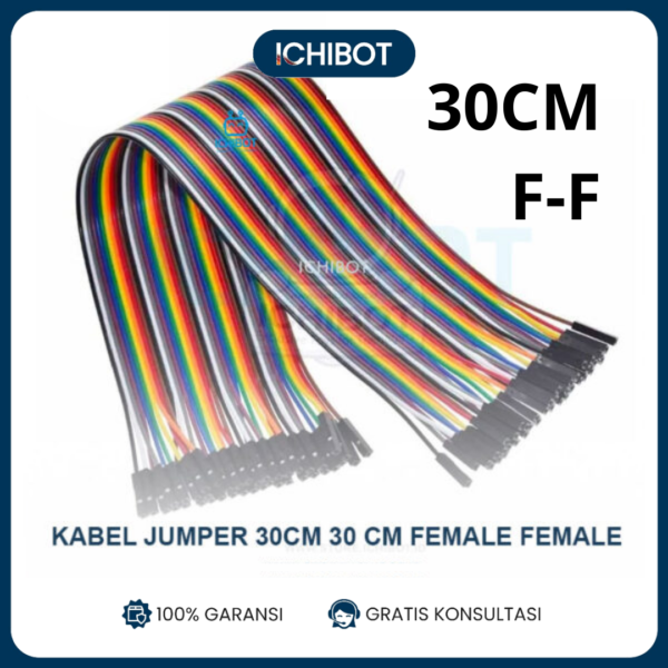 (10pcs) Kabel Jumper 30cm 30 cm Female Female Cable Arduino Harga per Pcs Biji