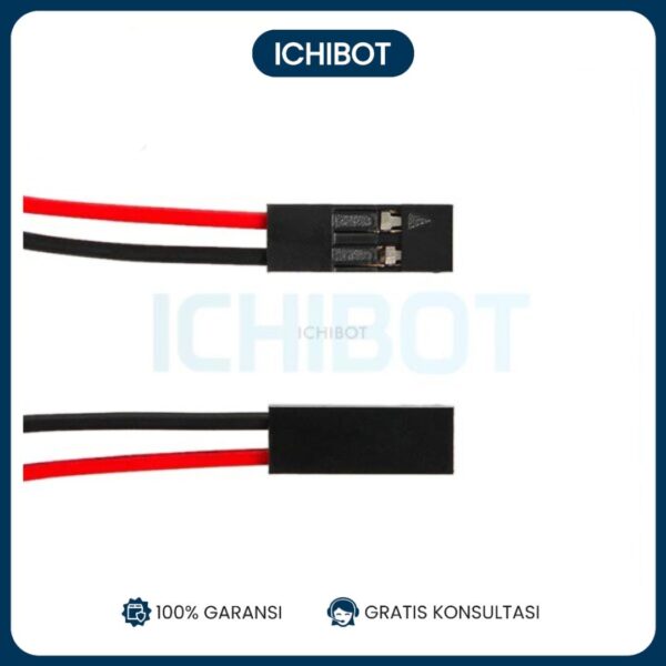 2P 70cm 3D printer 70 cm 2pin female female 2P jumper Dupont Kabel - Image 3