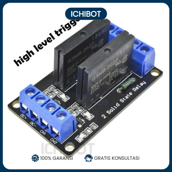 Modul Solid State Relay SSR 2Ch 2 Channel - Aktif High