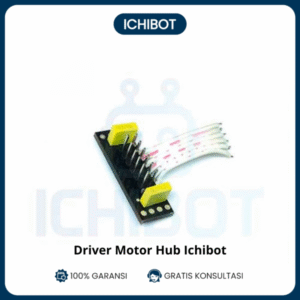 Driver Motor Hub Ichibot - SOCKET HEADER