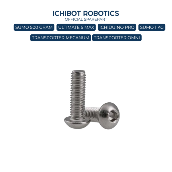 Baut Stainless 304 Hexagon Socket Head Cap Screws M3x6mm M3 6mm