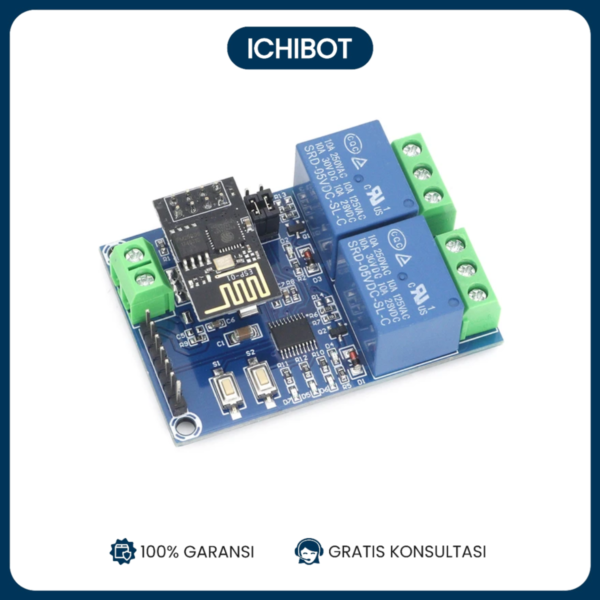 Modul Relay 2 Channel ESP-01 WiFi 5V IoT - Smart Controller