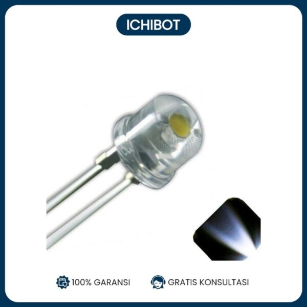 (10pcs) LED 8MM Super Bright Strawhat Light Emitting Diode Putih White