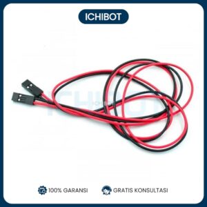 2P 70cm 3D printer 70 cm 2pin female female 2P jumper Dupont Kabel