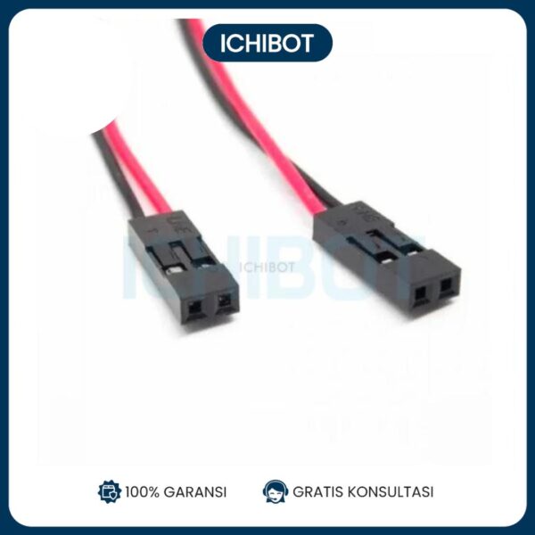 2P 70cm 3D printer 70 cm 2pin female female 2P jumper Dupont Kabel - Image 2