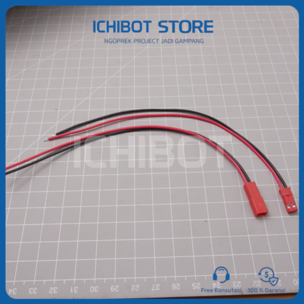 Konektor Baterai JST Male Female 1 Pasang 2-Pin 2.54mm Wire Plug